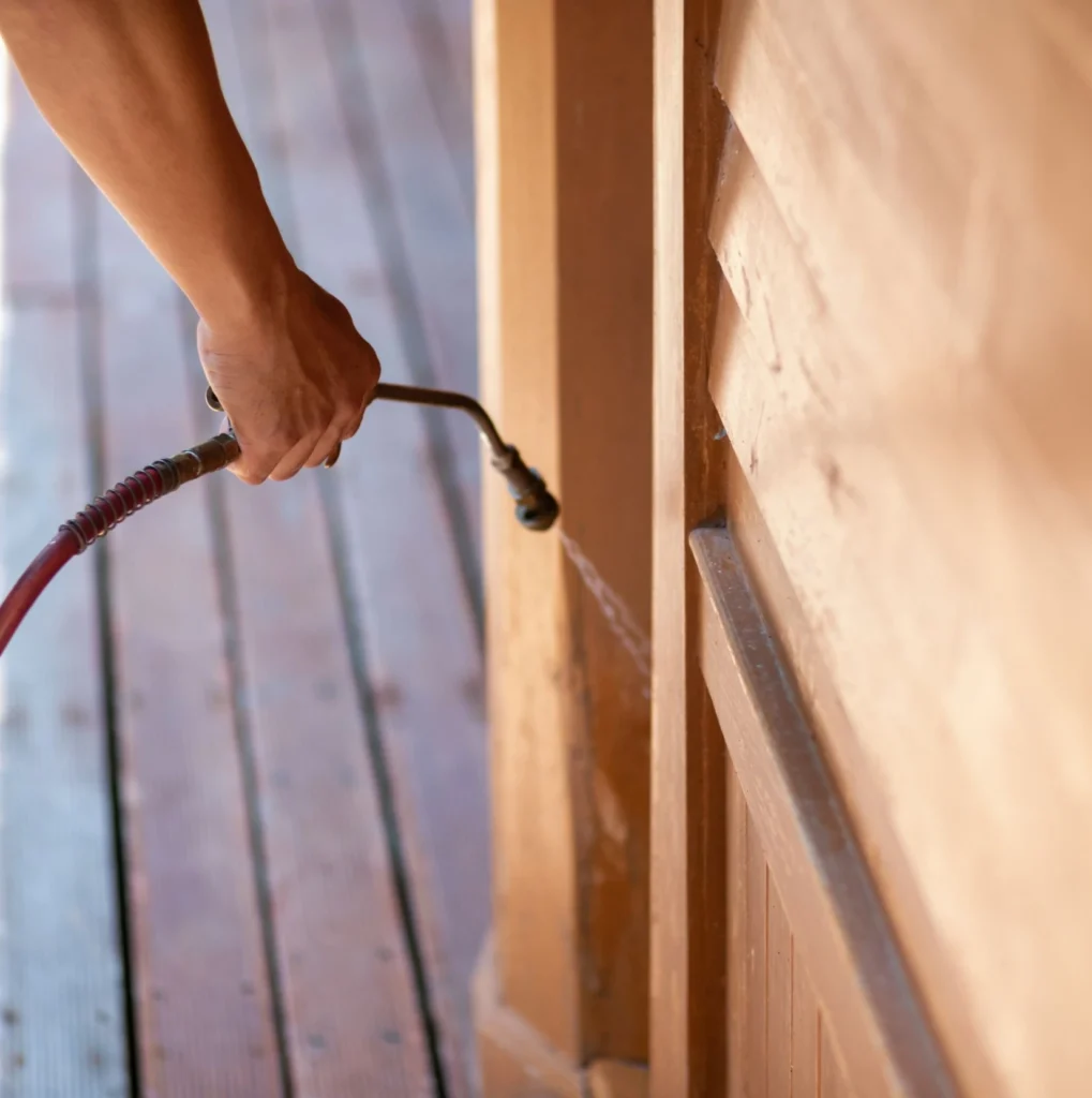 Trusted Pest Control - Azusa Best Pest Pros | Azusa, CA | 209-677-0023